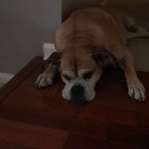 Meet your Posher, Dawne